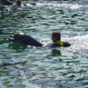 Meet your Posher, Thomas